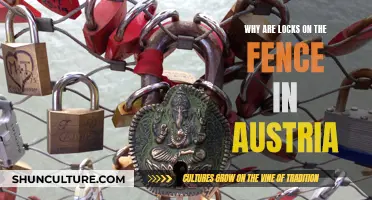 Locks on Austrian Fences: A Unique Cultural Tradition