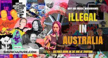 Magic Mushroom Prohibition in Australia: Why the Ban?