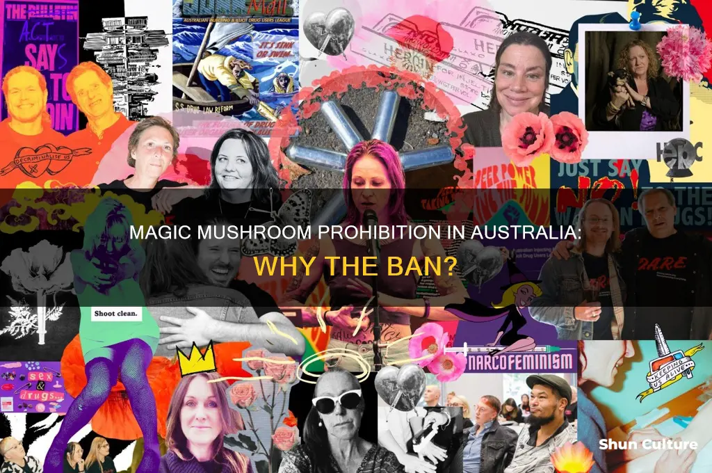 why are magic mushrooms illegal in australia
