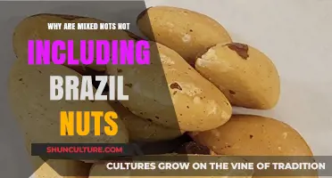Why Mixed Nuts Often Exclude Brazil Nuts: Key Reasons Explained