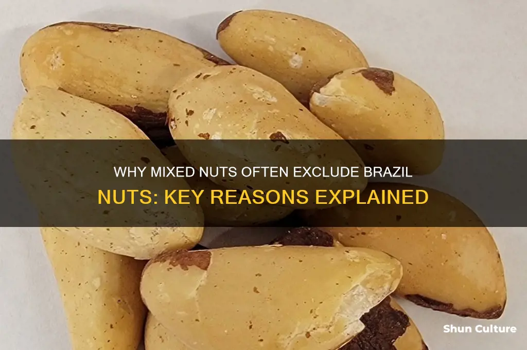 why are mixed nots not including brazil nuts
