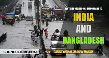 Monsoons' Vital Role in India and Bangladesh's Economy and Ecology