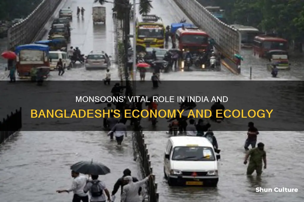 why are monsoons important to india and bangladesh
