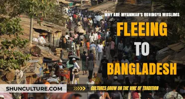 Myanmar's Rohingya Crisis: Why Muslims Are Fleeing to Bangladesh