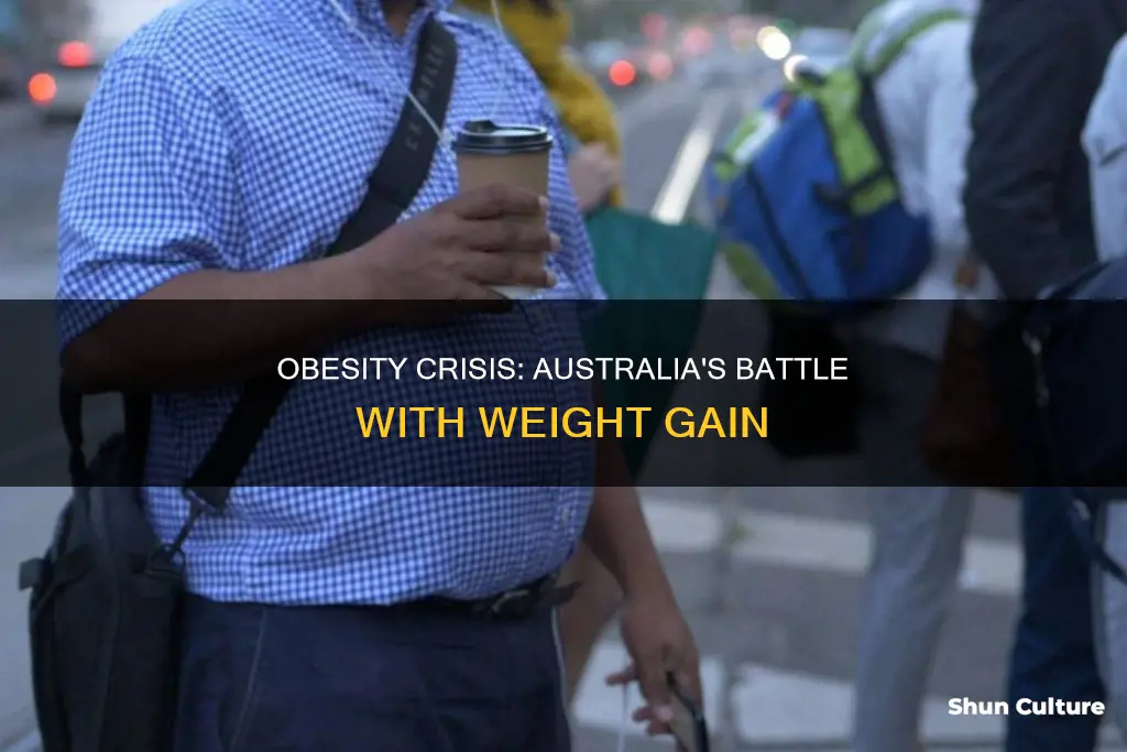 why are obesity rates rising in australia