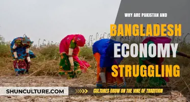 Economic Struggles in Pakistan and Bangladesh: Causes and Challenges