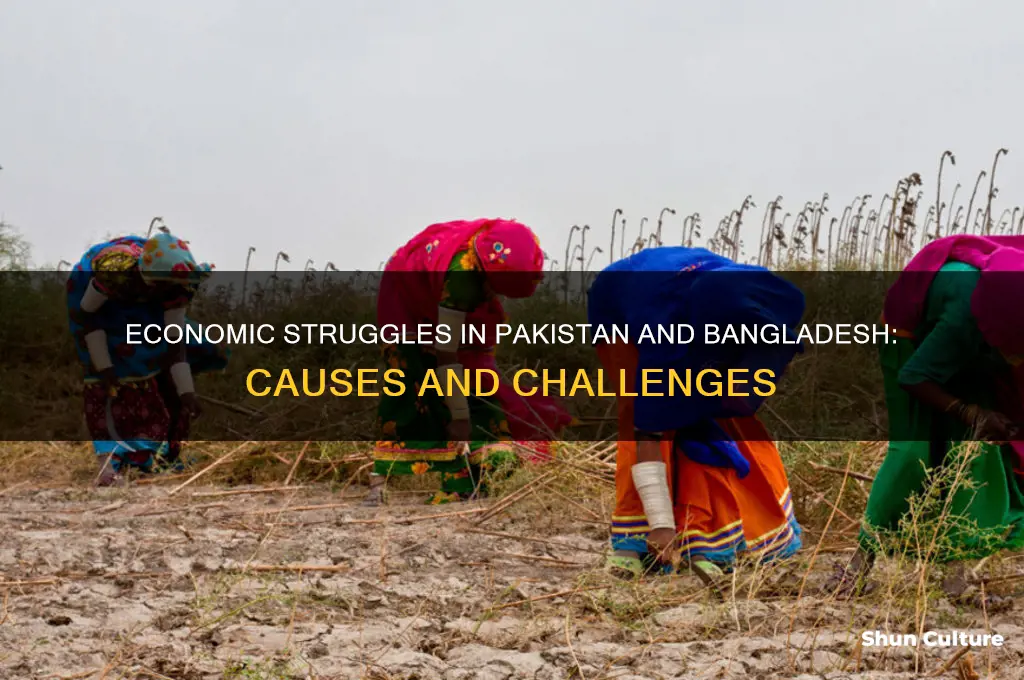 why are pakistan and bangladesh economy struggling