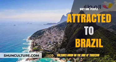 Brazil's Allure: Exploring the Cultural, Natural, and Festive Attractions