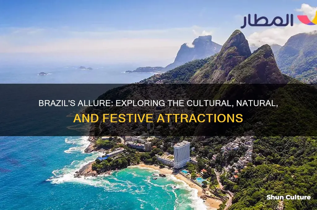 why are people attracted to brazil