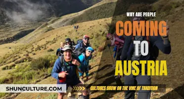 Exploring Austria: What Makes it a Popular Destination?