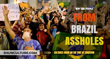 Debunking Stereotypes: Understanding Brazilian Behavior and Cultural Misconceptions