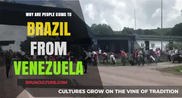 Venezuela to Brazil: Unraveling the Mass Migration Crisis
