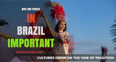 Brazil's People: Cultural Diversity, Economic Power, and Global Influence Explained