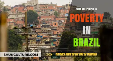 Understanding Brazil's Poverty Crisis: Causes, Challenges, and Potential Solutions