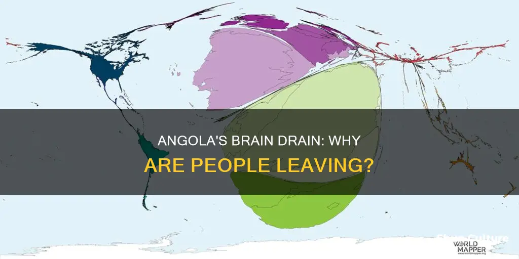 why are people leaving angola