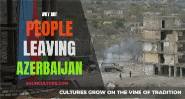 The Brain Drain: Azerbaijan's Emigration Crisis