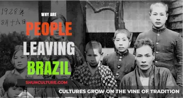 Brazil's Exodus: Unraveling the Reasons Behind Mass Migration