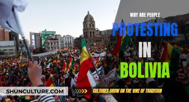 Bolivia Protests: What's the Reason Behind the Uprising?