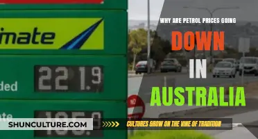 Why Are Petrol Prices Falling in Australia? Key Factors Explained