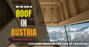 Austria's Rocky Roof: Uncovering the Mystery Beneath