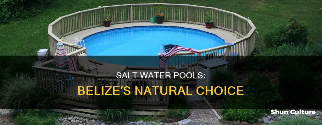 why are salt water pools popular in belize