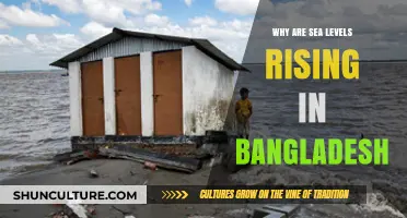 Bangladesh's Rising Sea Levels: Causes, Impacts, and Urgent Solutions
