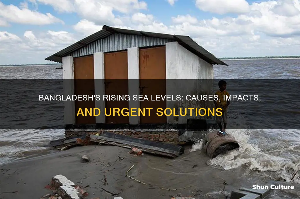 why are sea levels rising in bangladesh