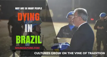 Brazil's Rising Death Toll: Uncovering the Alarming Causes and Trends