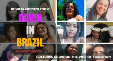 Brazil's COVID-19 Crisis: Unraveling the Devastating Death Toll
