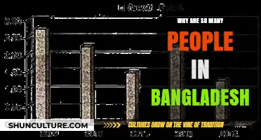 Exploring Bangladesh's Population Boom: Causes and Implications