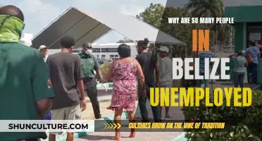 Belize's Unemployment Mystery