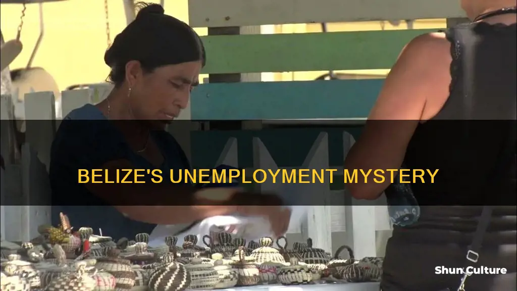 why are so many people in belize unemployed