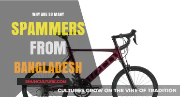 Understanding the Surge of Spam Activities Originating from Bangladesh