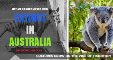 Australia's Extinction Crisis: Unraveling the Causes Behind Vanishing Species