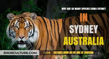 Sydney's Vanishing Wildlife: Uncovering Causes of Rapid Species Extinction