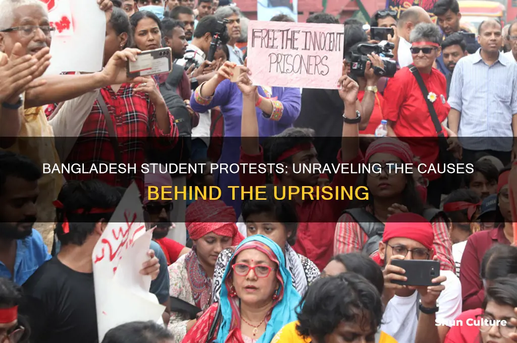 why are students protesting in bangladesh