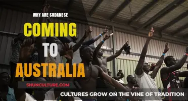 Sudanese Migration to Australia: Understanding the Push and Pull Factors