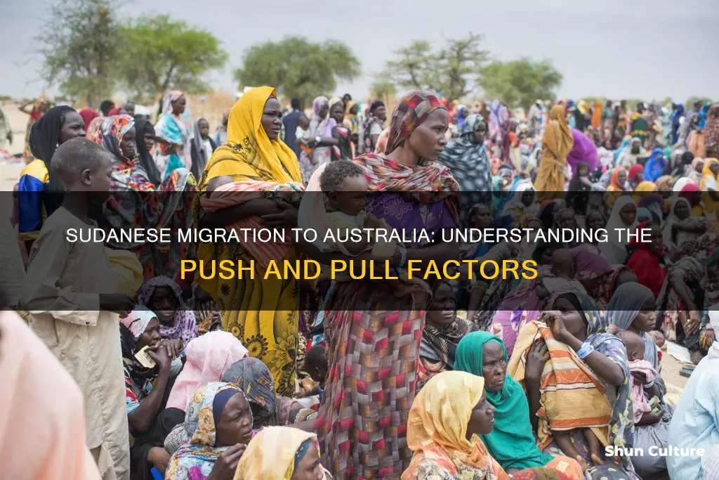 why are sudanese coming to australia