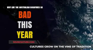 Australia's Fierce Bushfires: Unraveling the Devastating 2023 Crisis