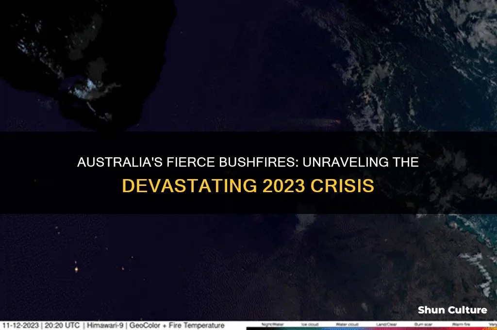 why are the australian bushfires so bad this year