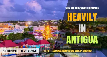 China's Strategic Investments in Antigua: Economic and Geopolitical Insights