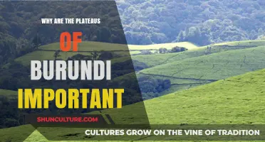 Exploring Burundi's Plateaus: A Key to Understanding Its Unique Geography