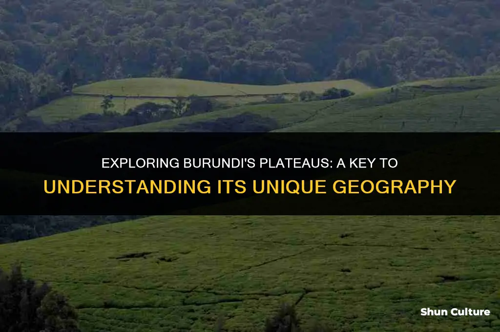 why are the plateaus of burundi important