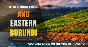 Exploring Burundi's Plateaus: A Journey Through Central and Eastern Highlands