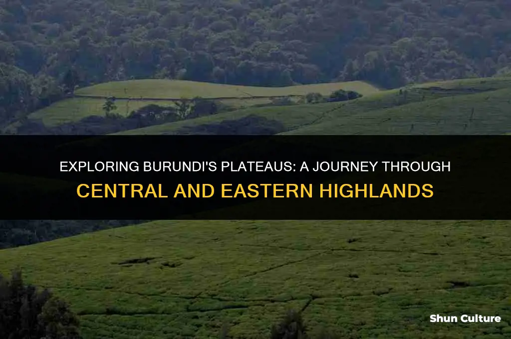 why are the plateaus of central and eastern burundi