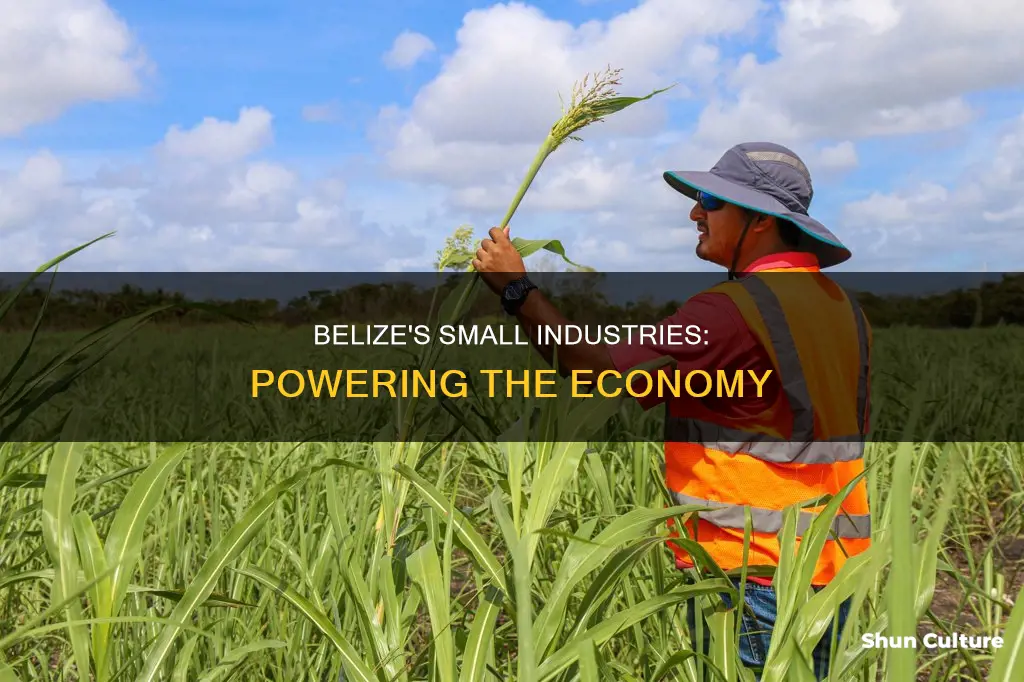 why are the small belize industries important