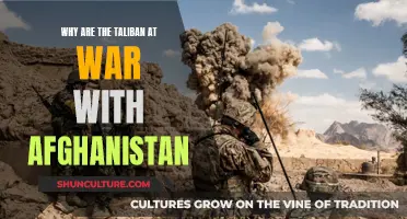 The Enduring Battle: Unraveling the Taliban-Afghanistan Conflict