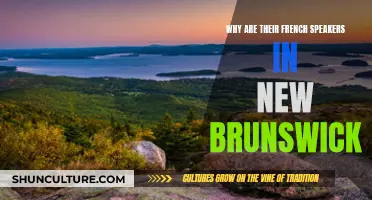 French in New Brunswick: Why?