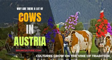 Austria's Bovine Abundance: Exploring the Country's Cattle Culture