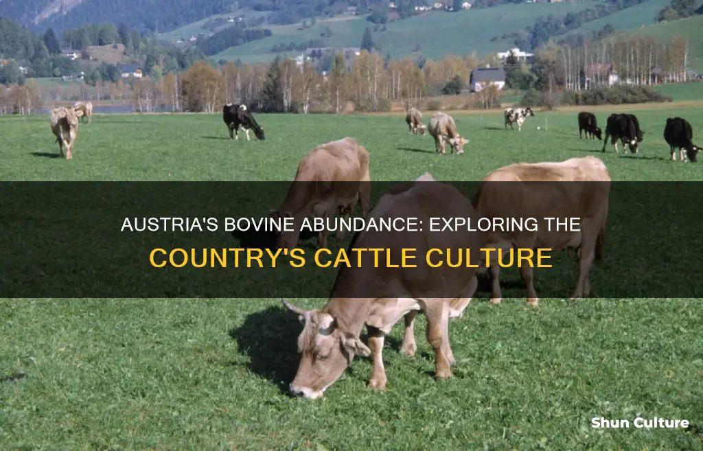 why are there a lot of cows in austria